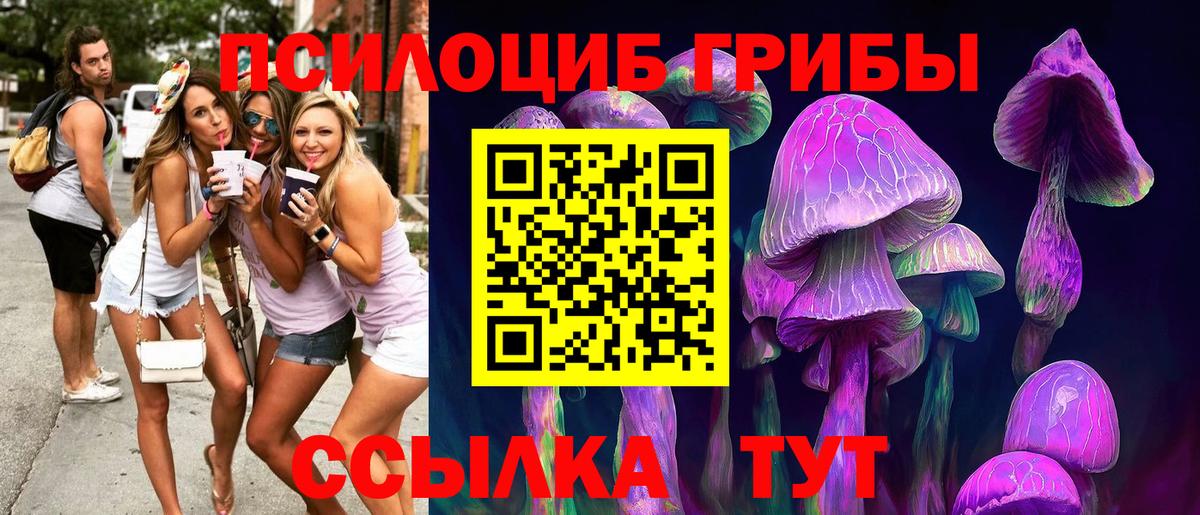 Галлюциногенные грибы MAGIC MUSHROOMS Сухой Лог