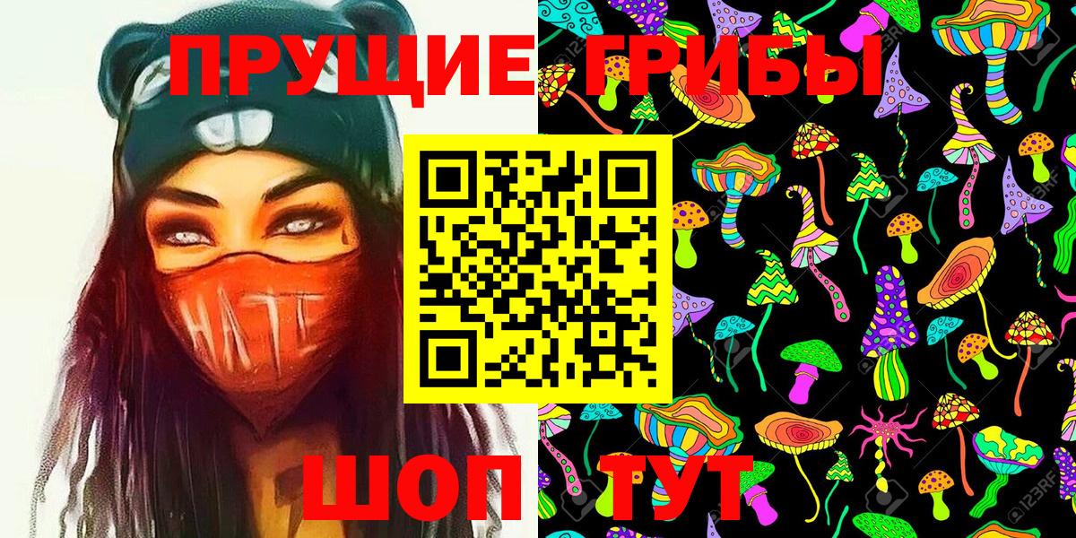 Псилоцибиновые грибы Magic Shrooms  Вход с VPN  Сухой Лог 